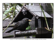 Puzzle-Amsel-6.pdf